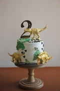 Dinosaur Theme 2nd Birthday Cake